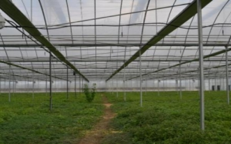 智慧農業園區監測